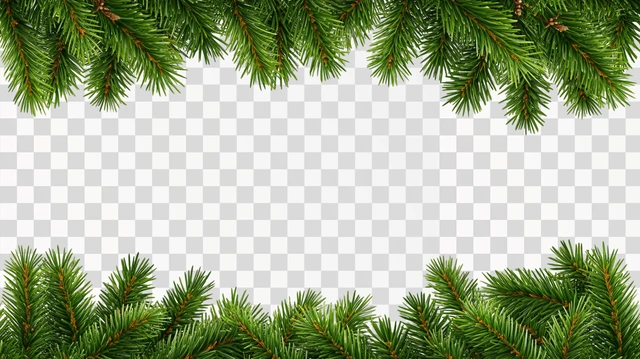 Christmas Tree Border, rectangle shape, isolated —ar 16:9 —s