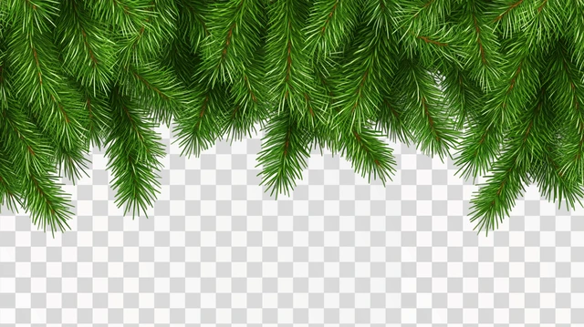 Christmas Tree Border, rectangle shape, isolated —ar 16:9 —s