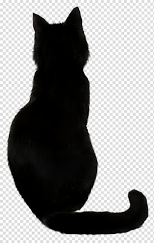 Fashion cat silhouette transparent