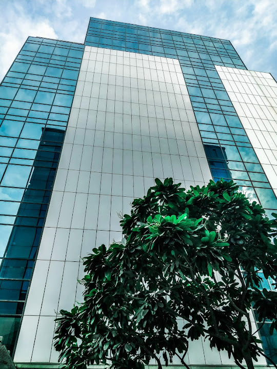 Free: Tree Near Building - nohat.cc