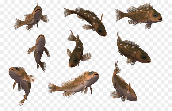 Free: Tropical fish 3D computer graphics Wallpaper - Benthic fauna 3d ...