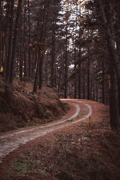 Free: Unpaved Pathway - nohat.cc
