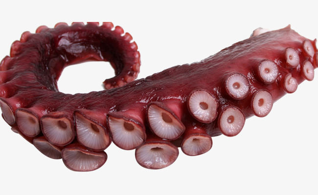 Free: Octopus Tentacles, Octopus Clipart, Octopus Foot, Cut Off PNG ...
