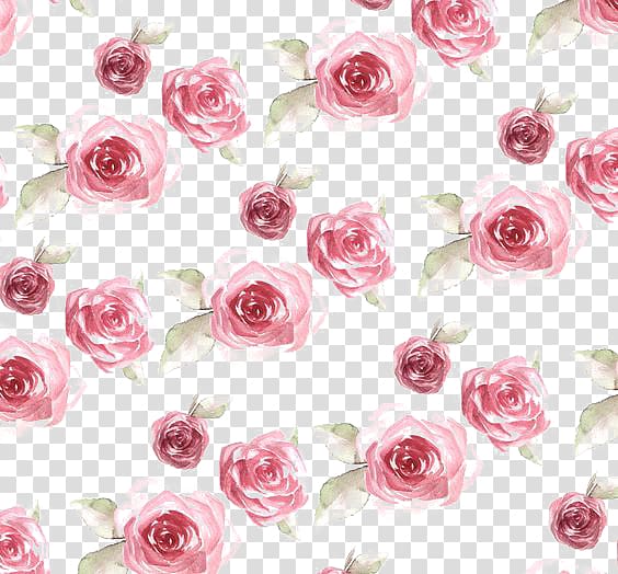Free: Pink roses , Paper Rose Flower Pattern, Rose Print transparent ...