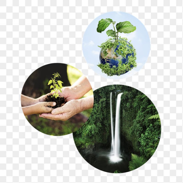 Free: Forestation png badge sticker, environment | Free PNG - rawpixel ...