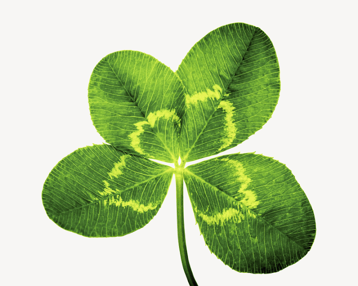 Free: Clover leaf, isolated botanical image | Free PSD - rawpixel ...