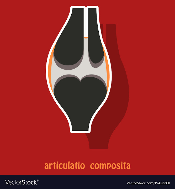 Free: Knee joint health care icon sticker vector image - nohat.cc