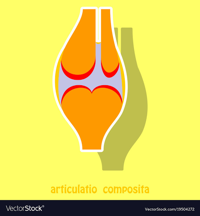 Free: Knee joint health care icon sticker vector image - nohat.cc