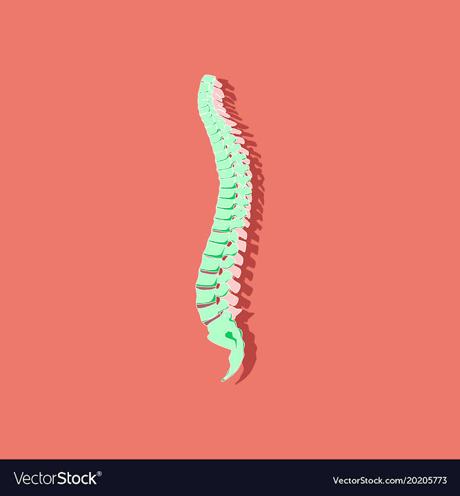 Free: Human vertebral column paper sticker on stylish vector image ...
