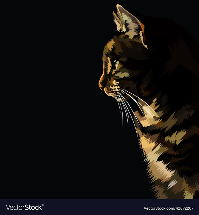 Free: colorful cat - nohat.cc