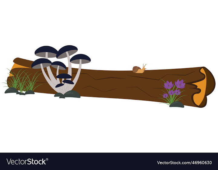 Free: old rotten log with mushrooms - nohat.cc