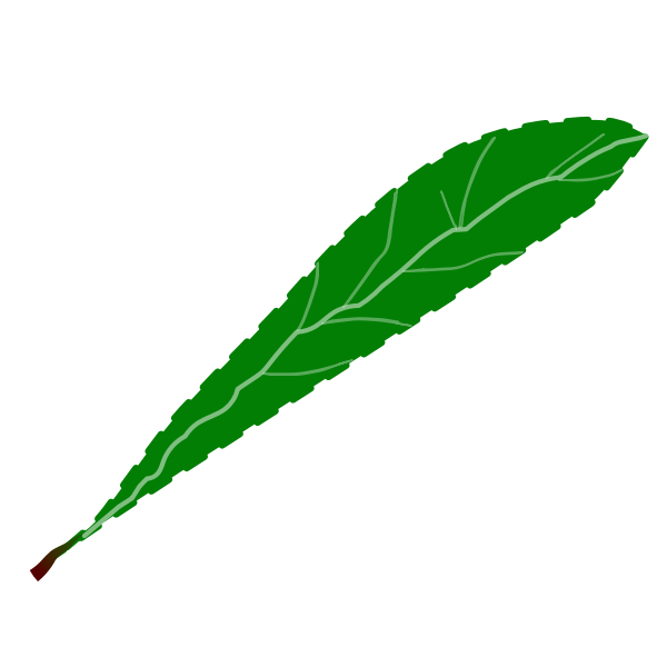 Free: SVG Green petal - nohat.cc