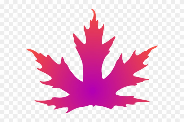 Free: Leaf Clipart Pink Leaves - Pink Maple Leaf Clip Art - nohat.cc