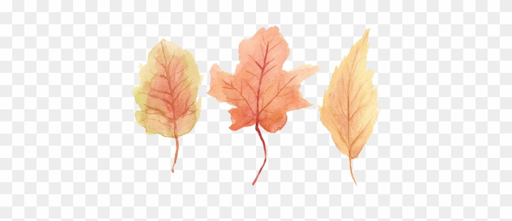 Autumn Drawing Tumblr