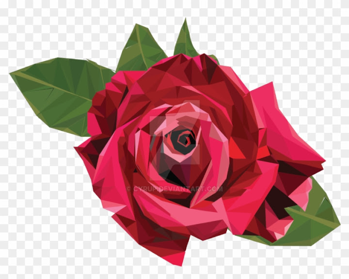 Free: Low-poly Rose By Cyrup - Low Poly Rose Transparent - nohat.cc